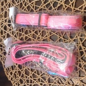 Dog collar & leash bundle.